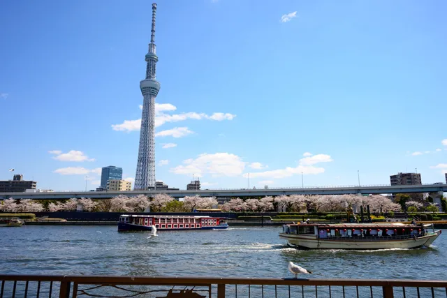 スカイツリーと屋形船