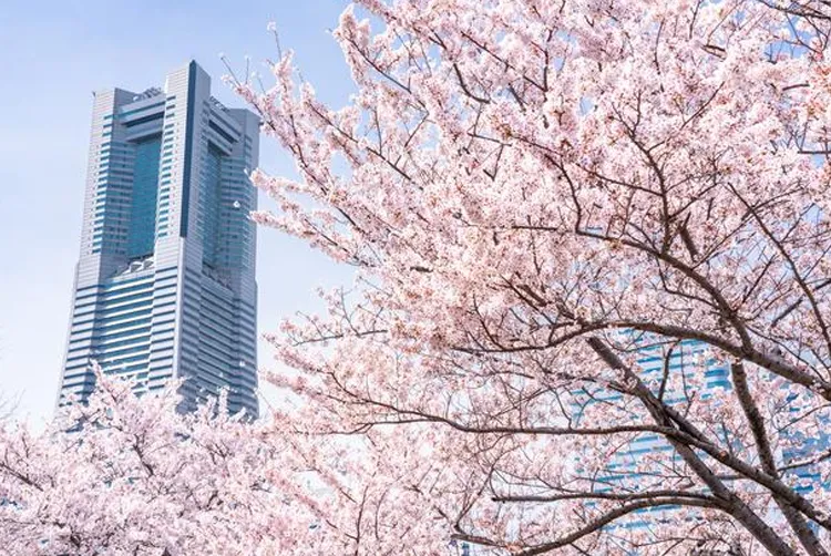 ランドマークタワー